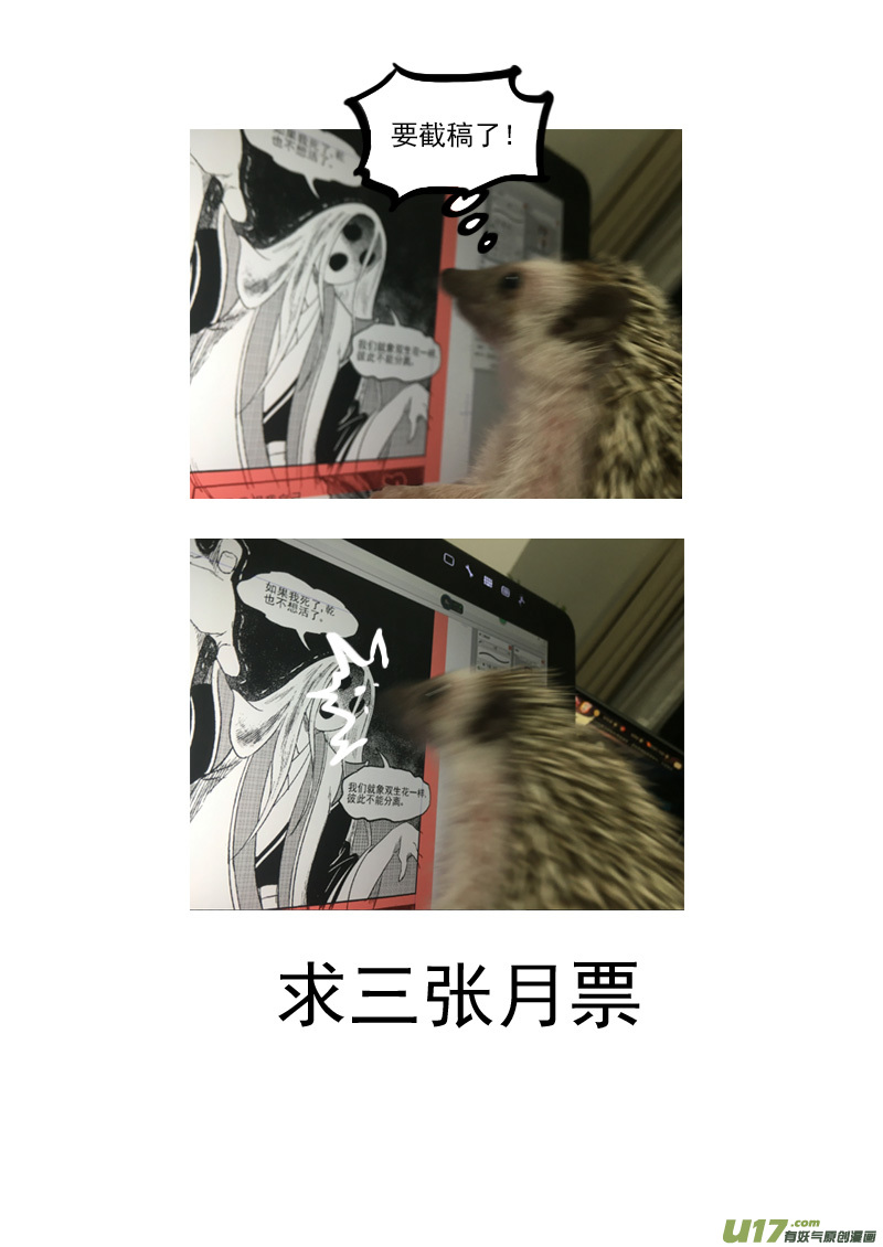 233（b） 崩坏26