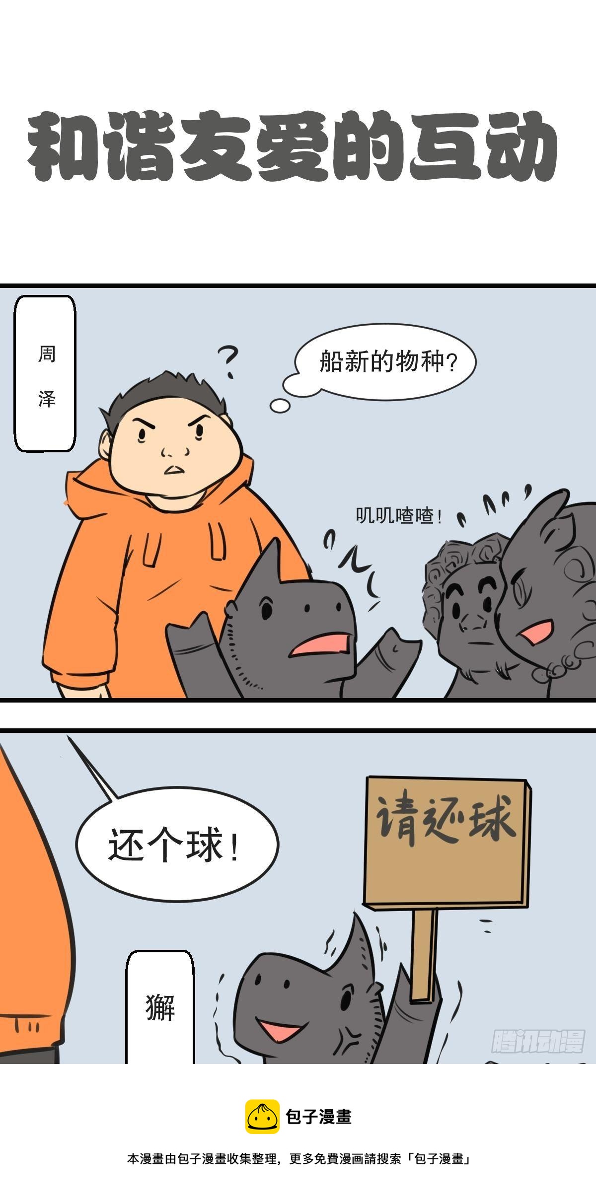 狮子和球球8