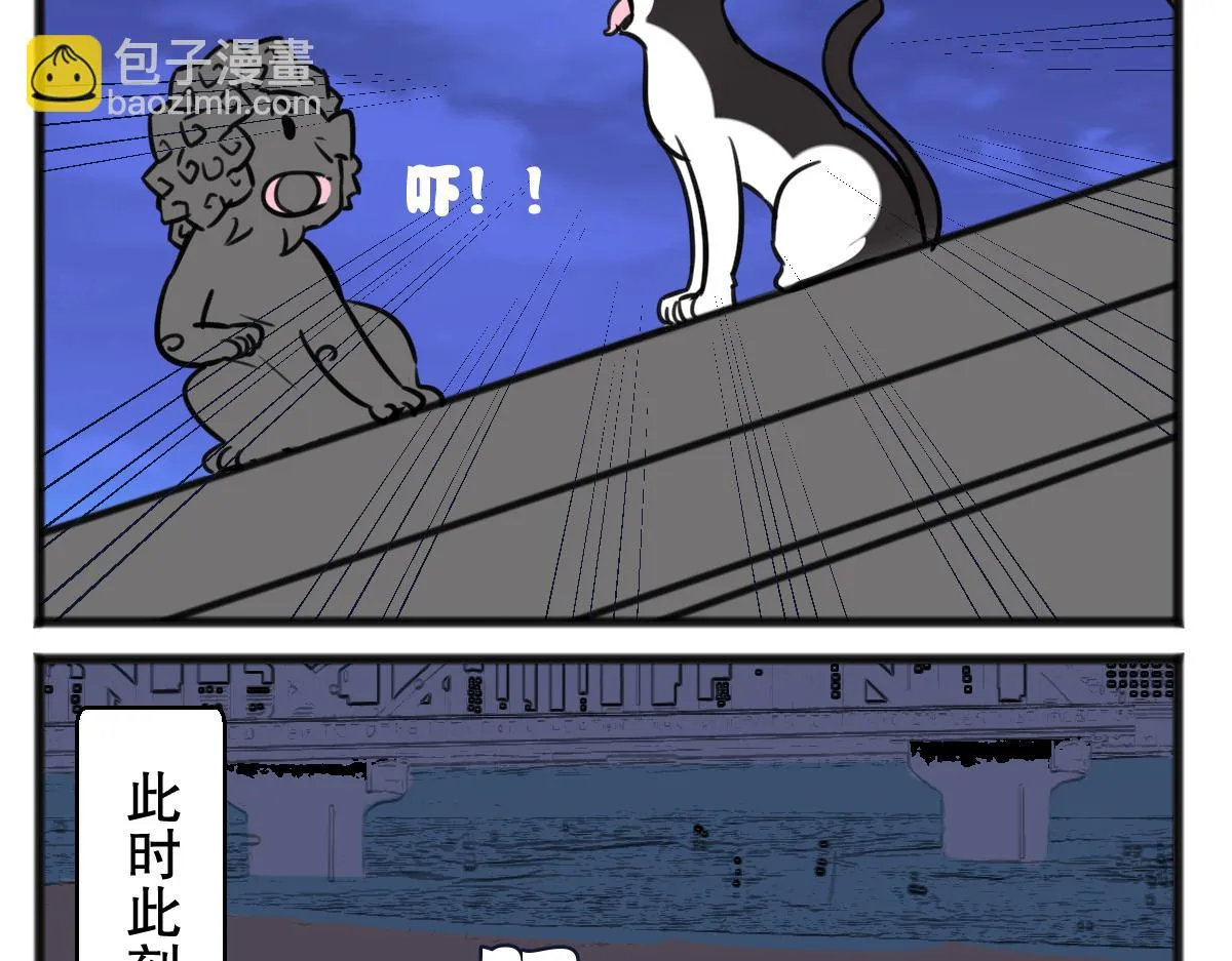 猫仔8