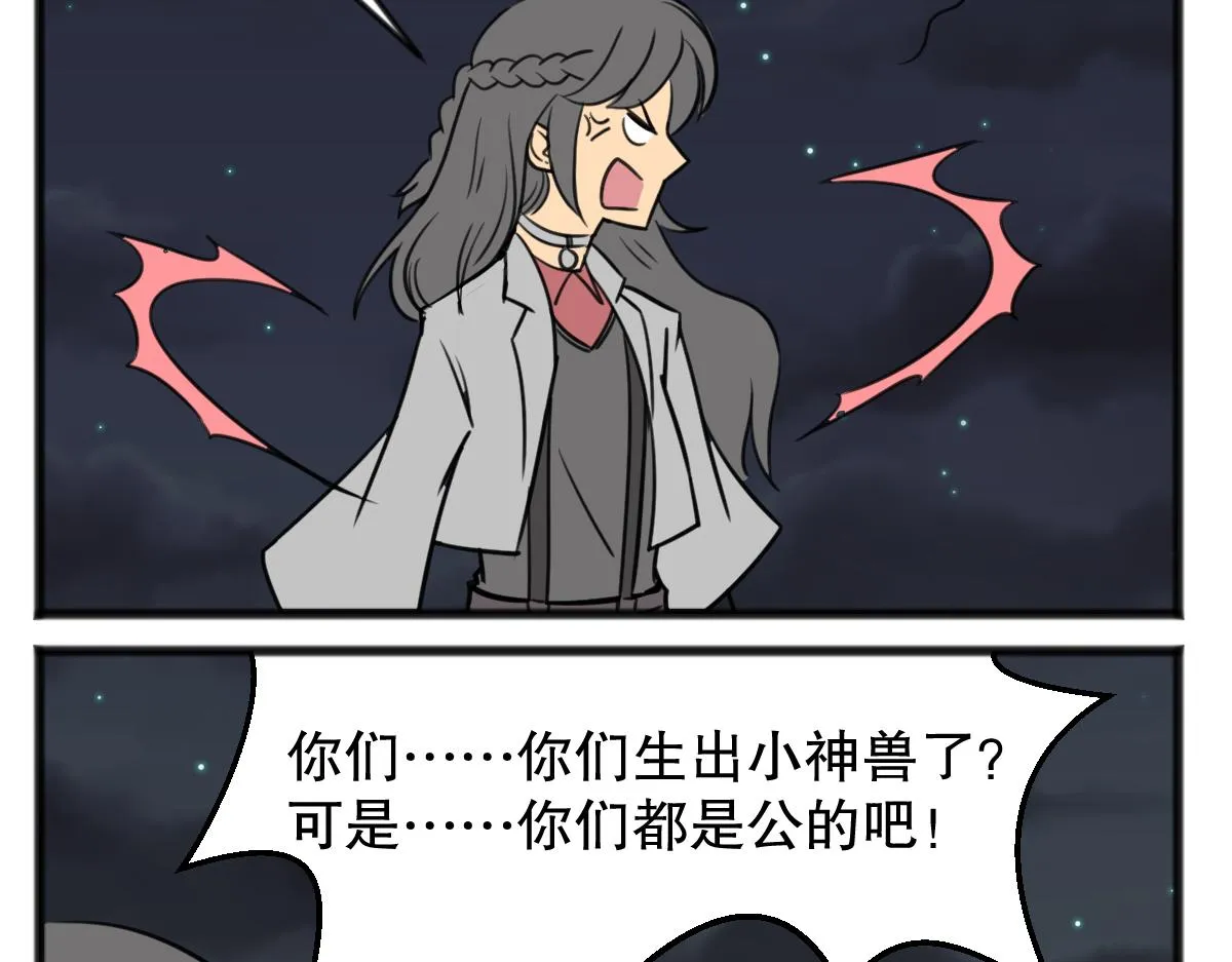 猫仔12