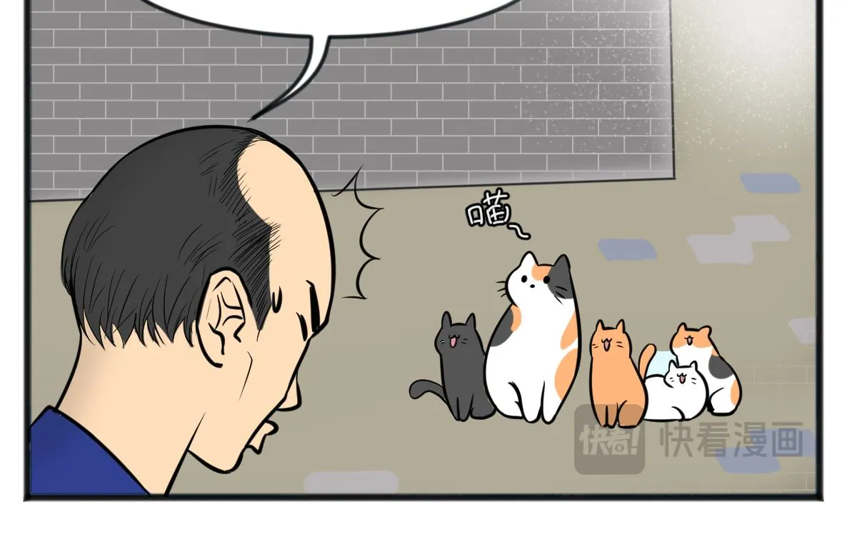 直播带货4