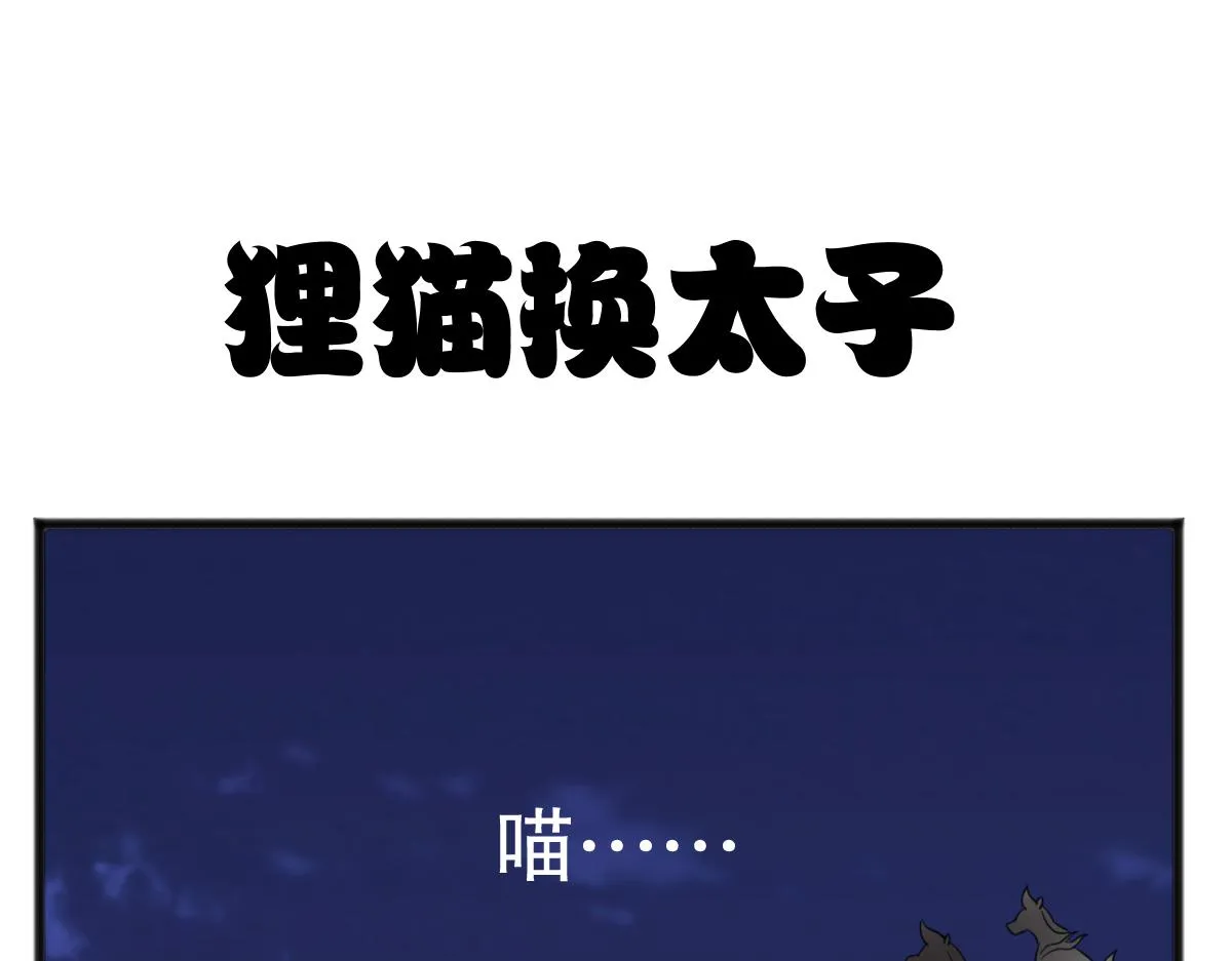 猫仔5