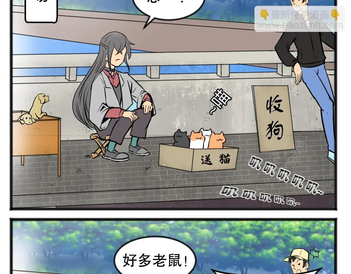 直播带货13