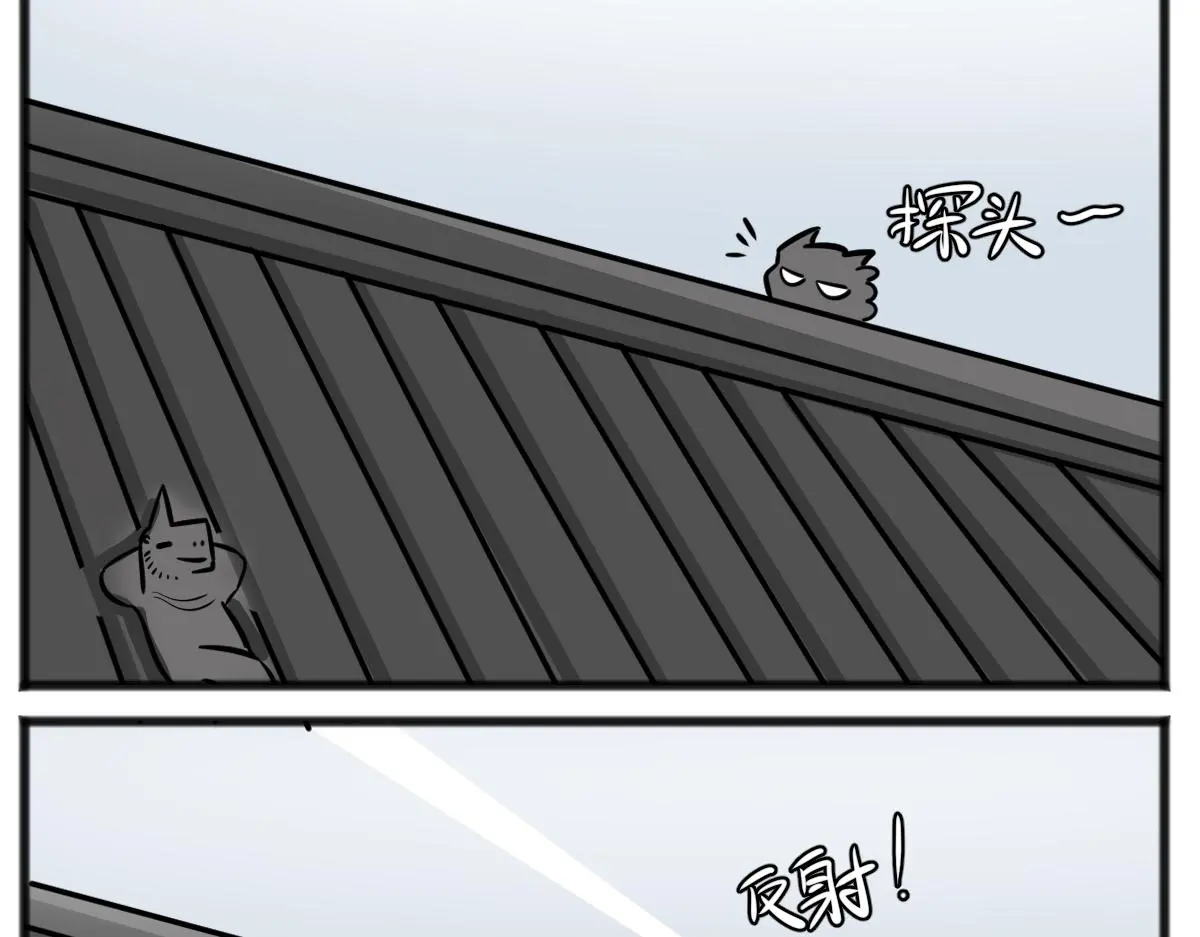 旱的旱死，涝的涝死8
