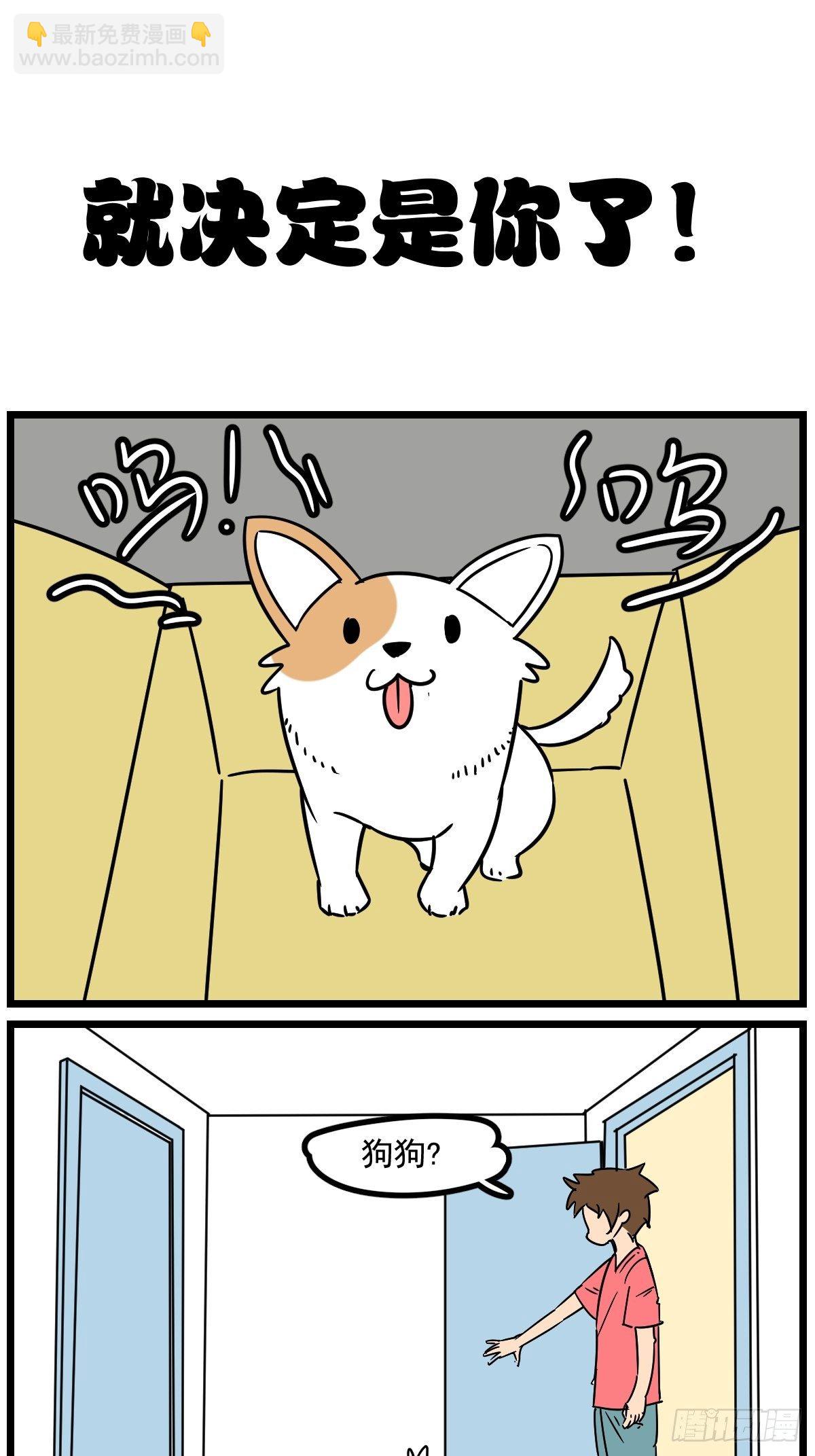 给他一个家6