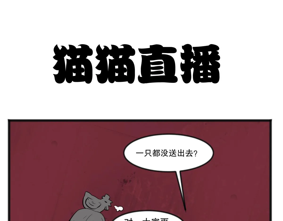 直播带货15