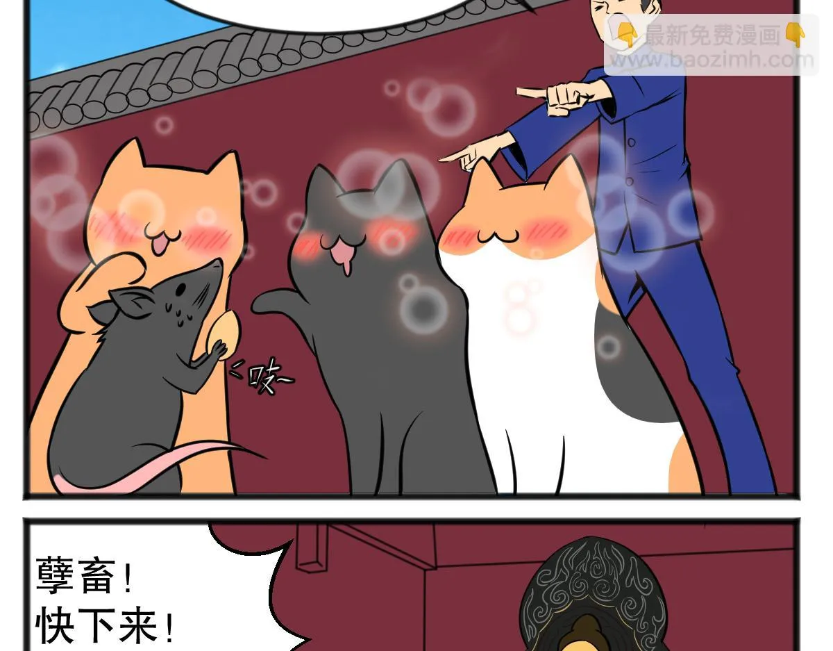 直播带货8