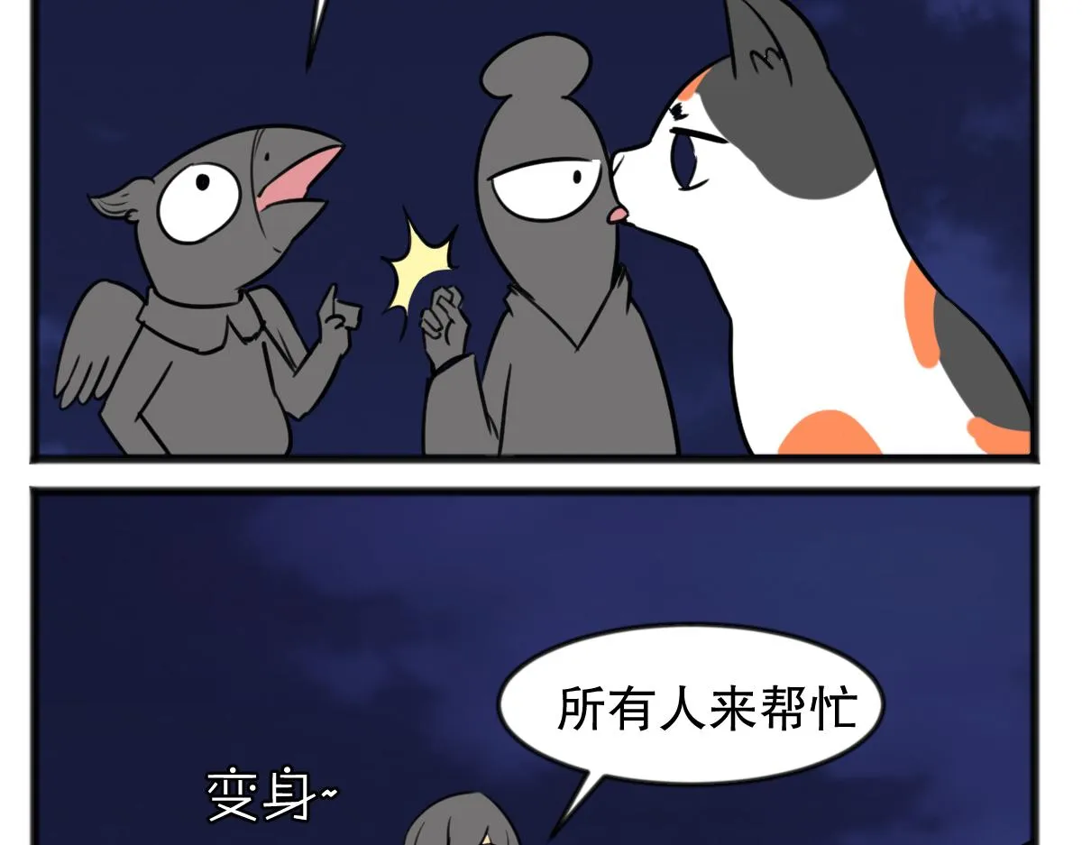 猫仔16