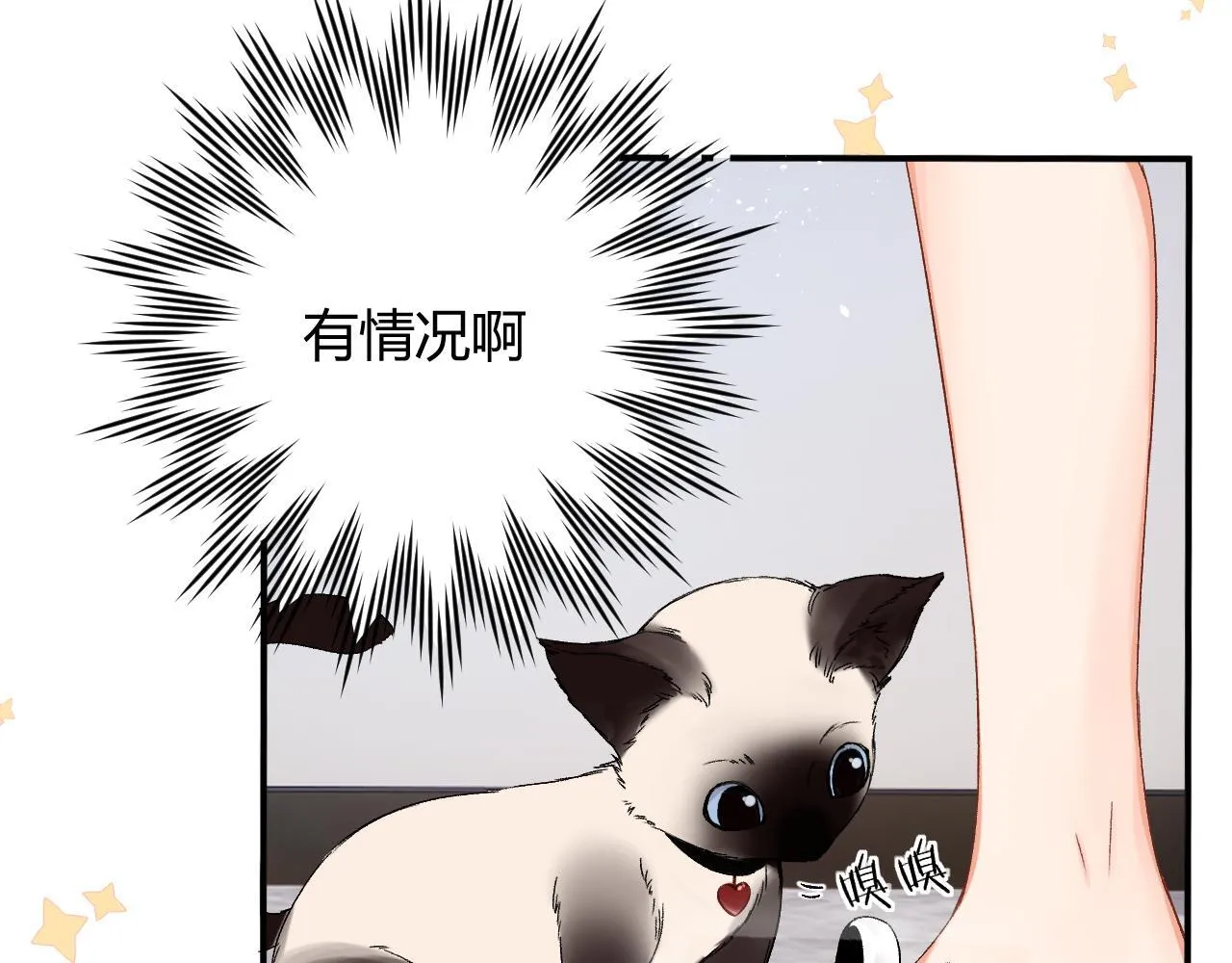 005 何止见过24