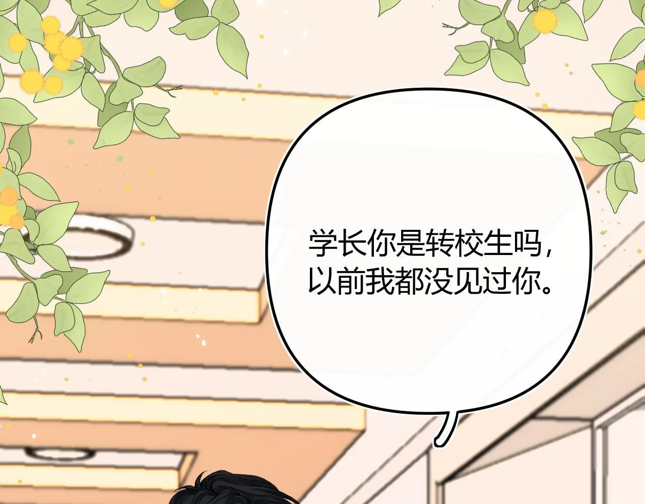 008 学长，拜托拜托35