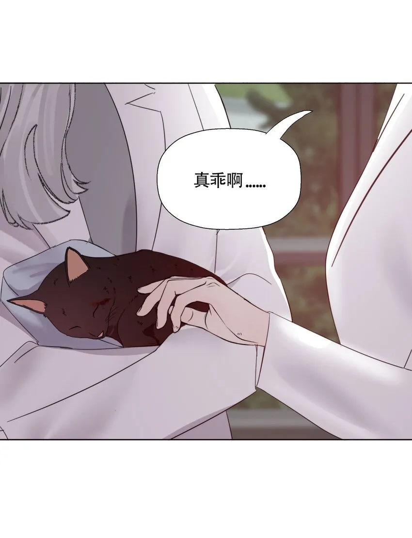 021 别有用心37