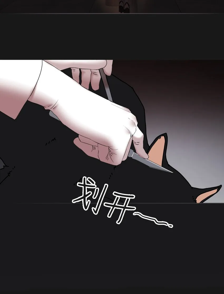 024 实验品19