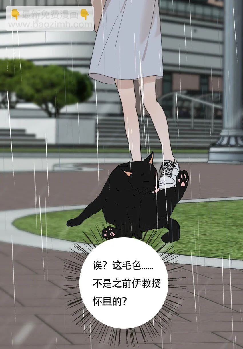 022 她们是恋人吗？11