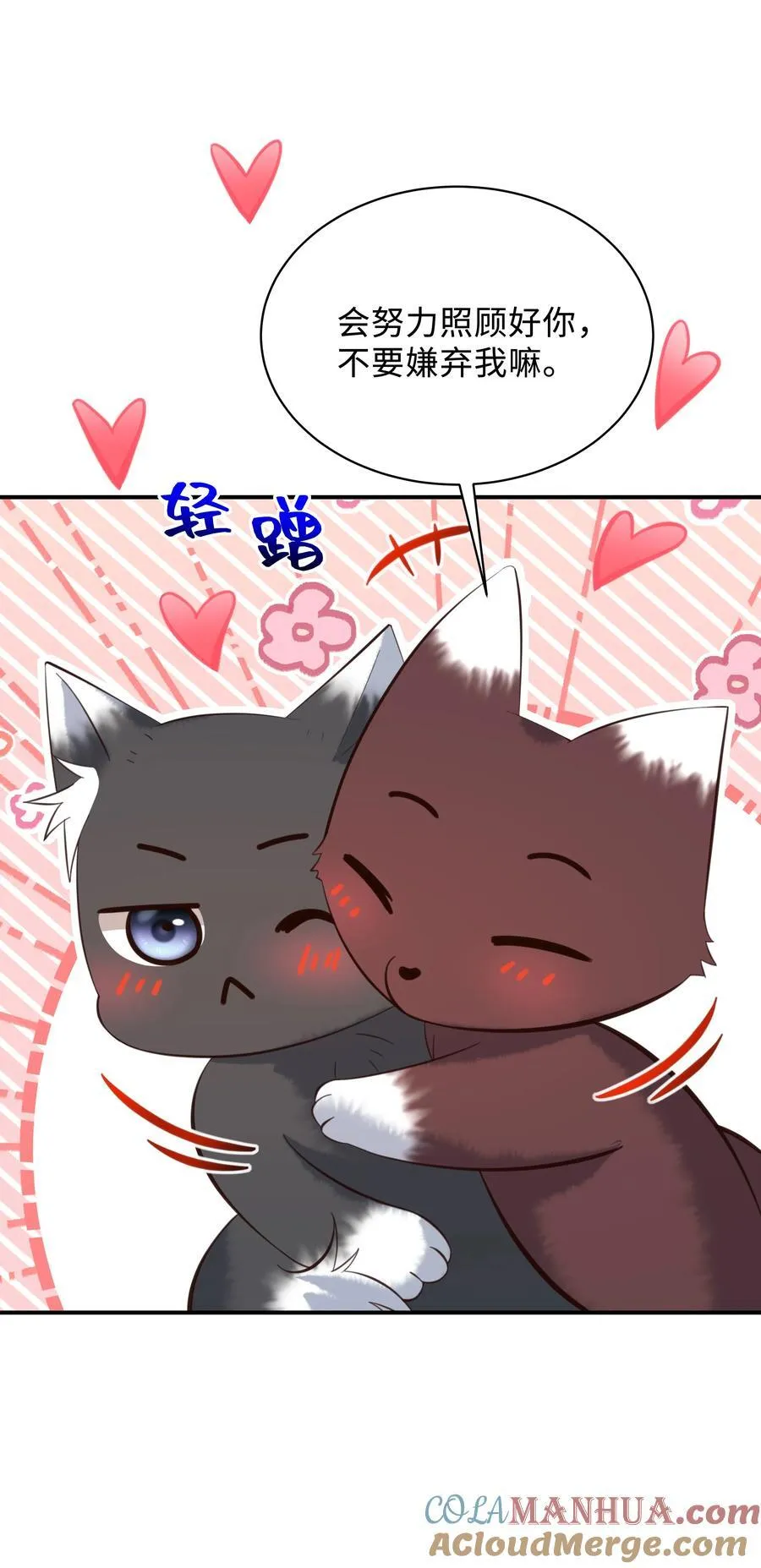 041 打几分？20