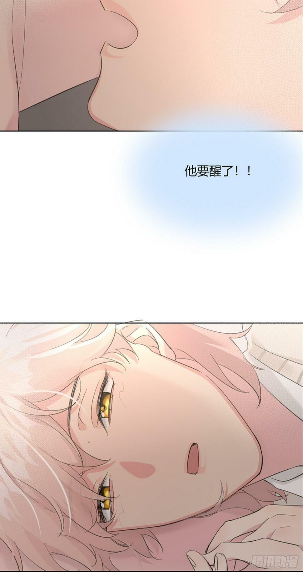 第11话 如何正确当狗12