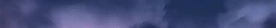 41 尸花38