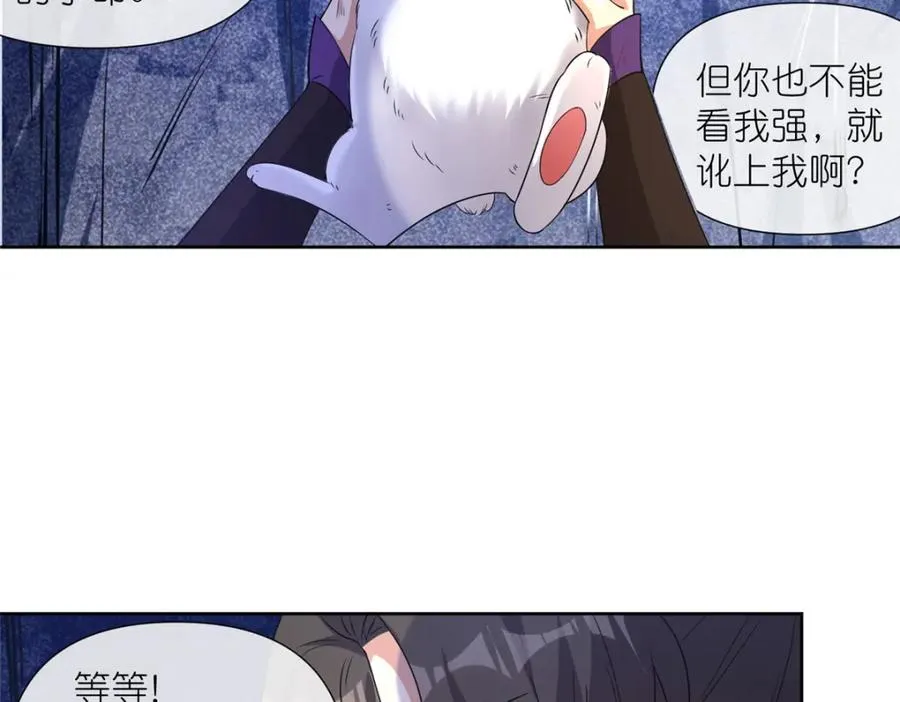 11 灵兽魔兔65