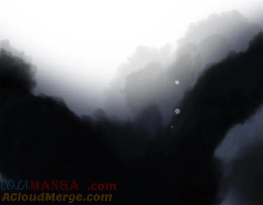 41 尸花51