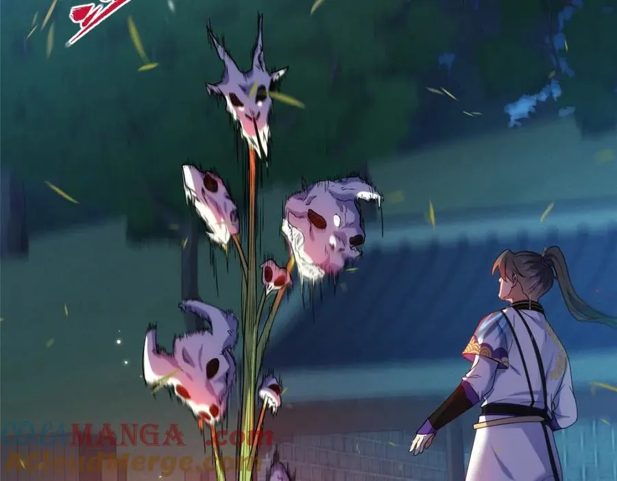 41 尸花36