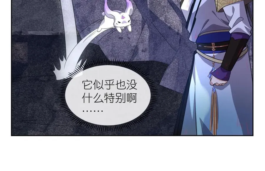 11 灵兽魔兔7