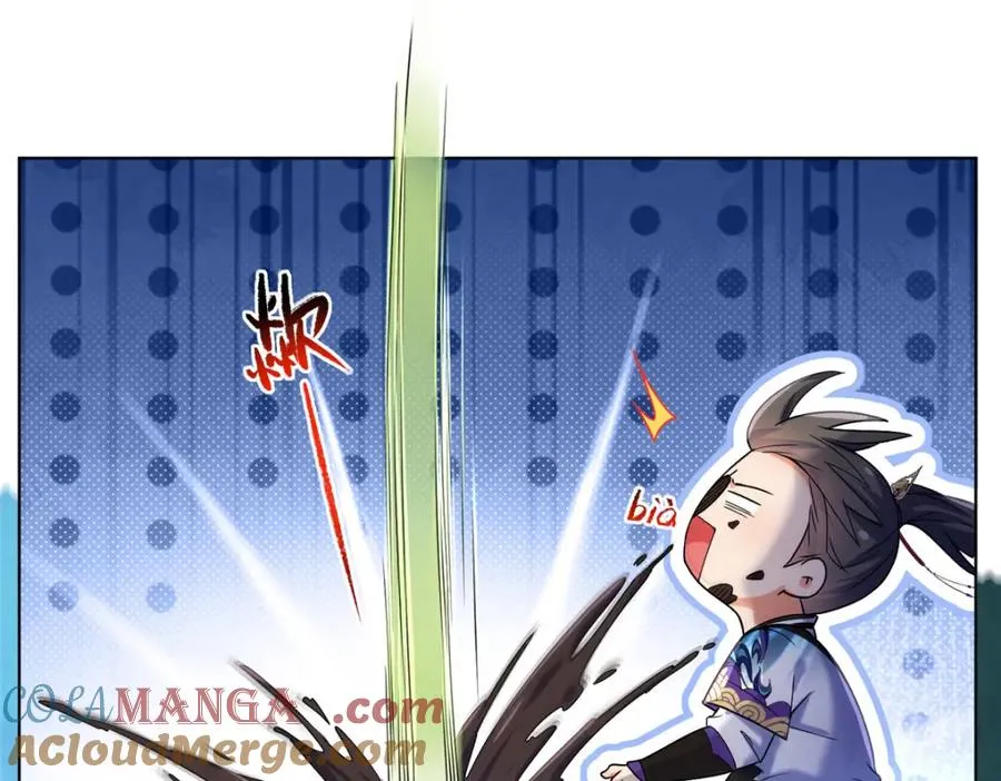 41 尸花33