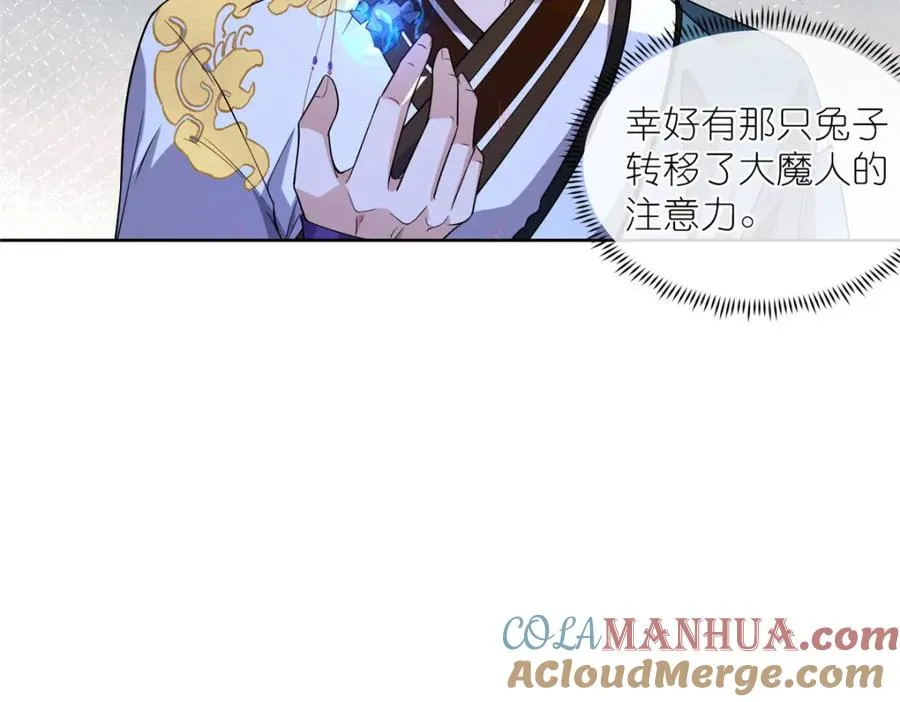11 灵兽魔兔42