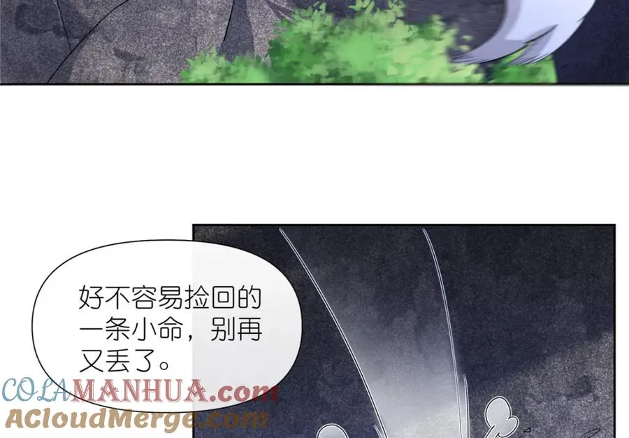 11 灵兽魔兔21