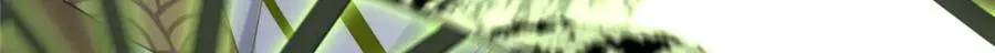 35 锁灵爪20