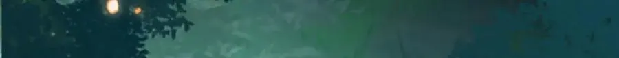 05 可惜我不行了11
