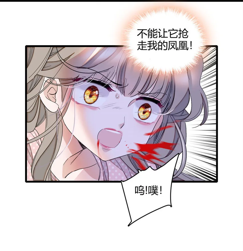 7 凤凰命格7