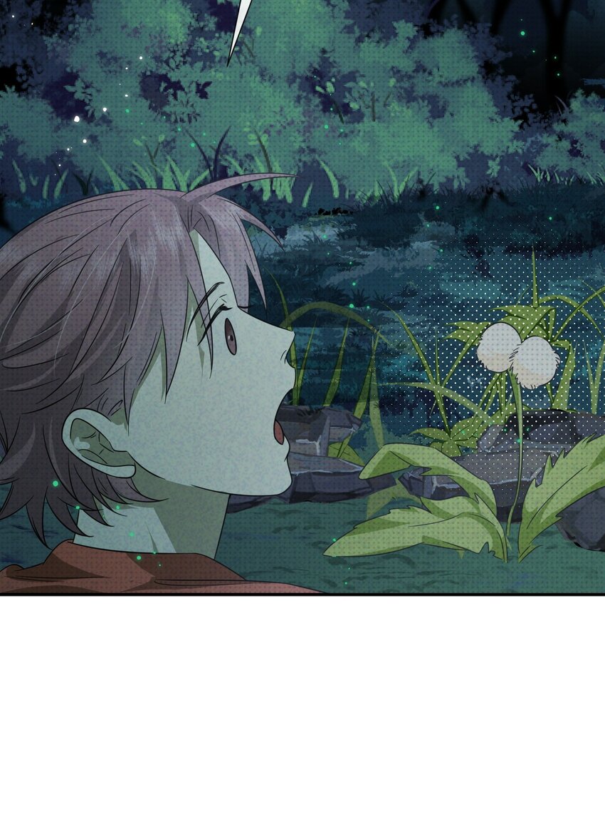 004 妖障，奇怪的草50