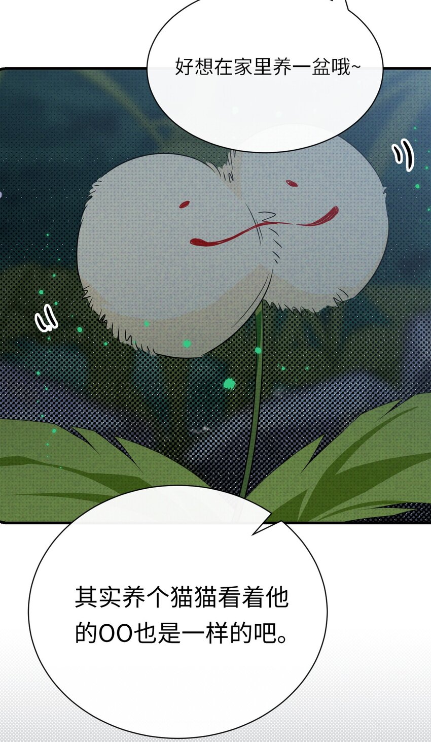 004 妖障，奇怪的草54