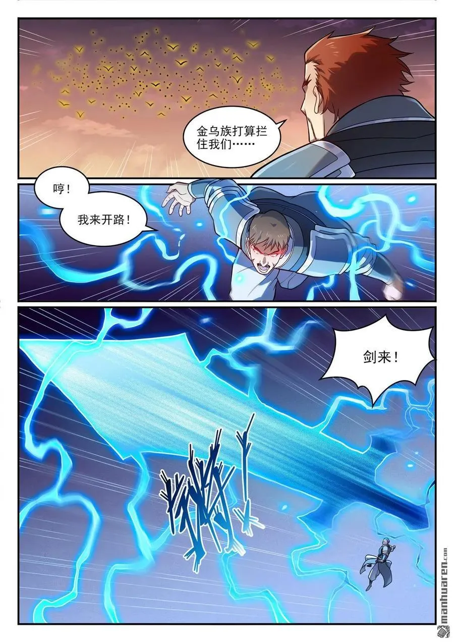 第1187回 大战金鸟11