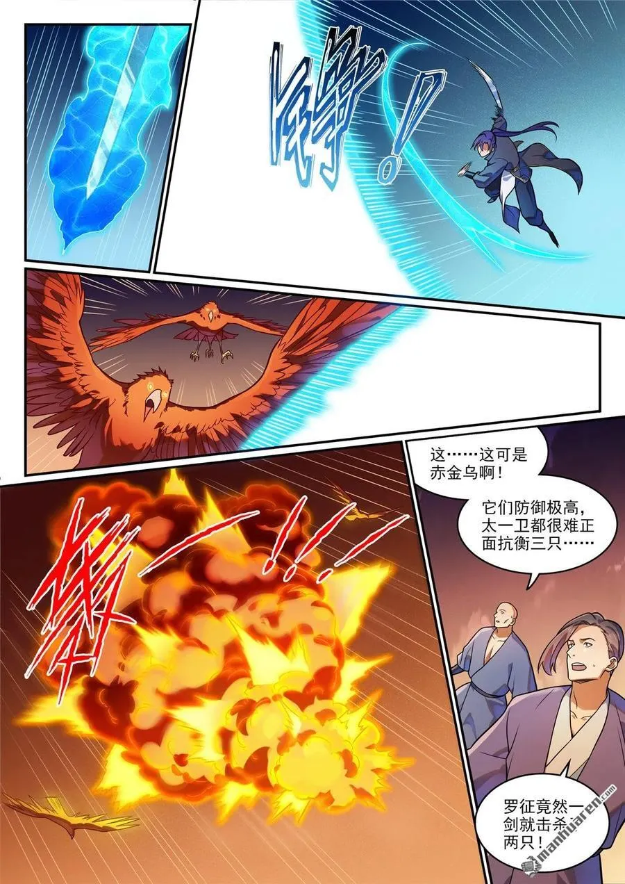 第1187回 大战金鸟5
