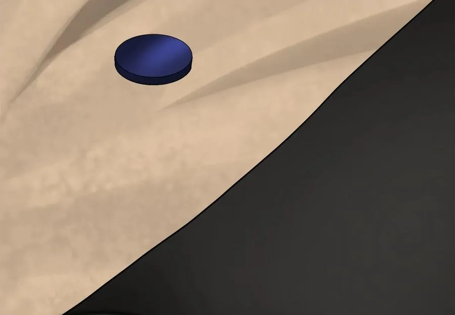 245.诱敌计划208