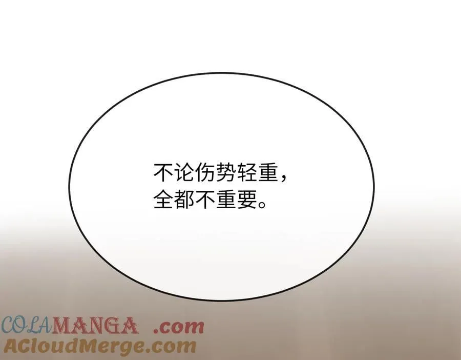 245.诱敌计划229