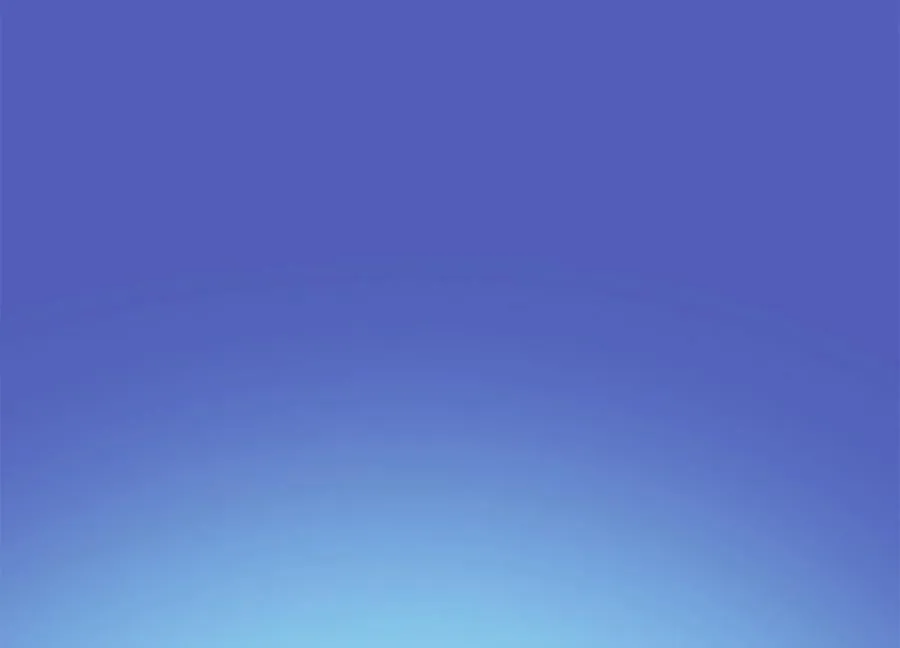 245.诱敌计划99