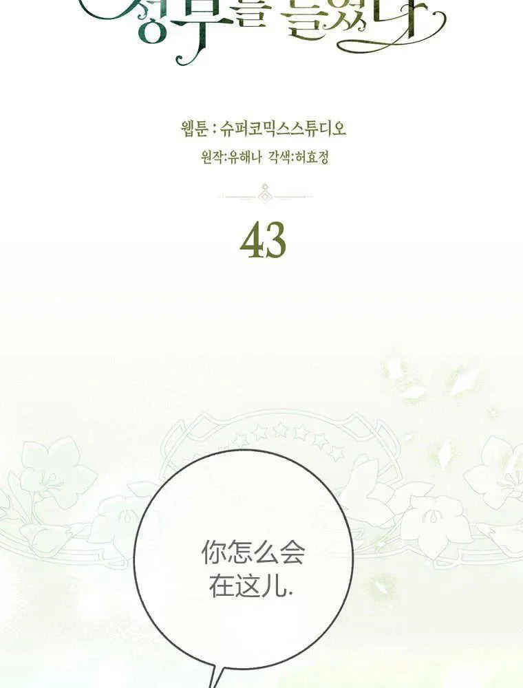 第43话11