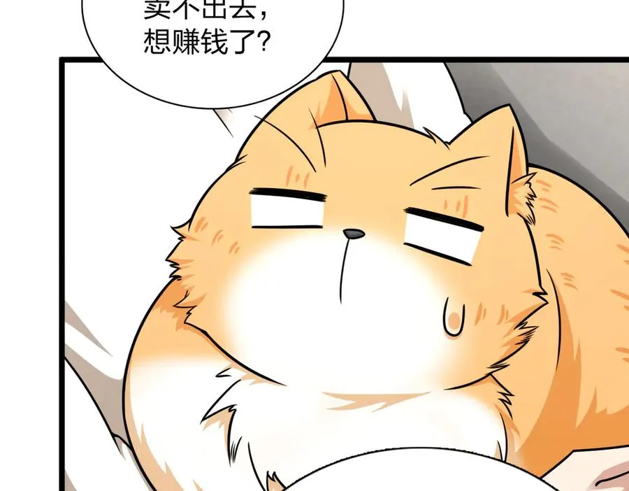 27338