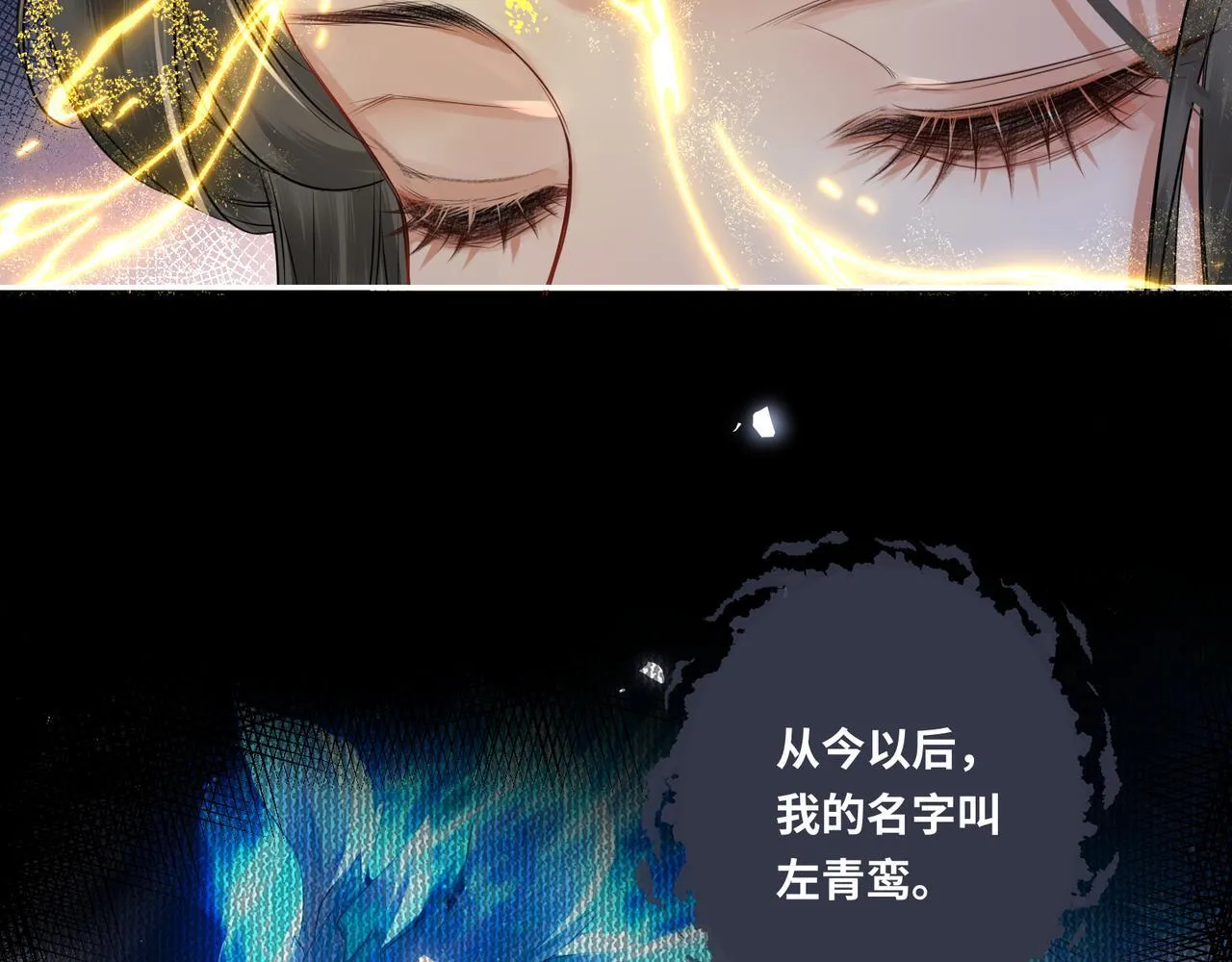 第20话 激活！凤凰神血85