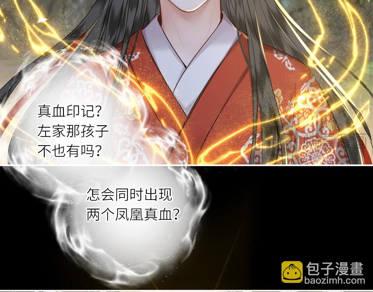 第20话 激活！凤凰神血51