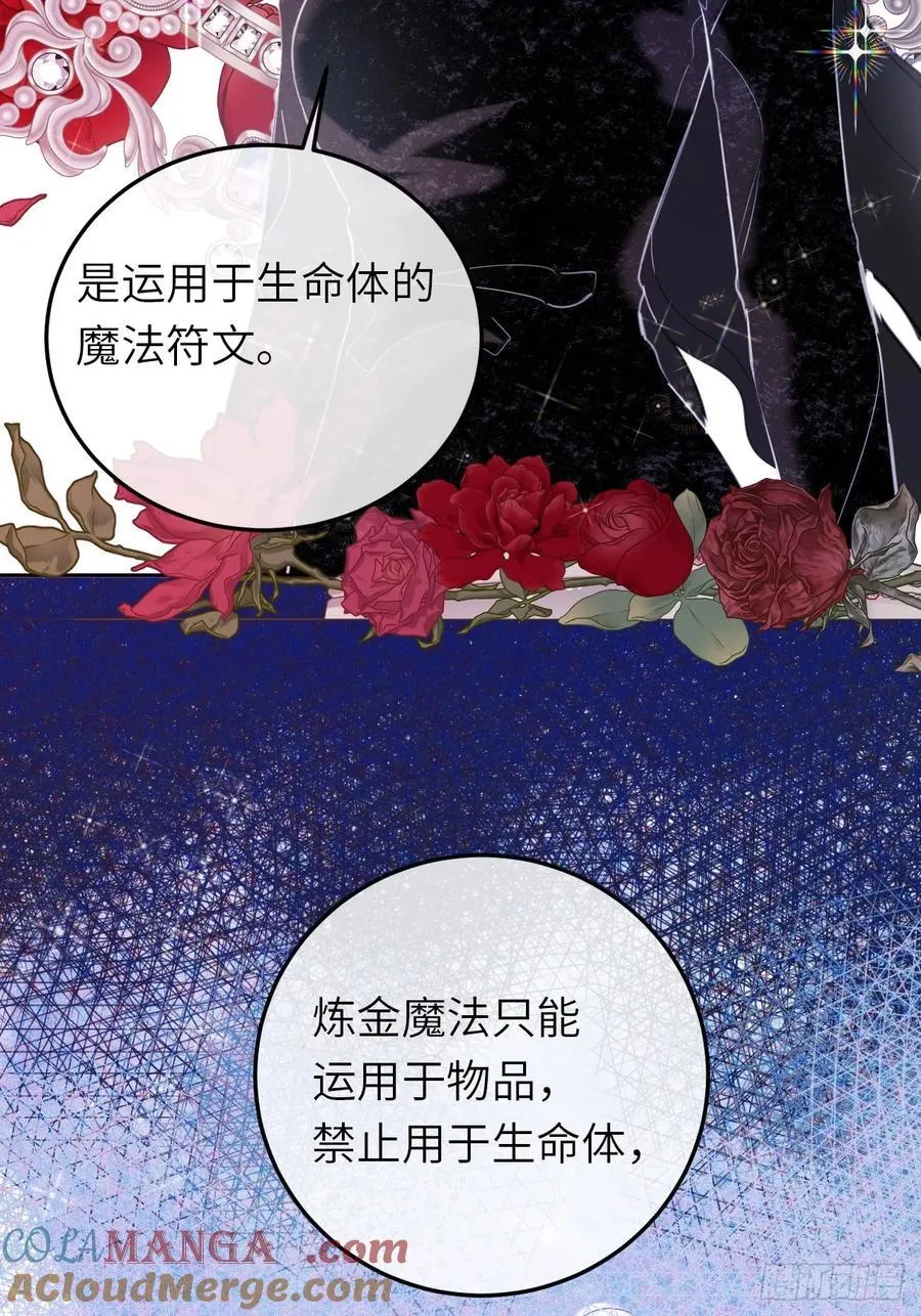 17-禁术与入学资格6