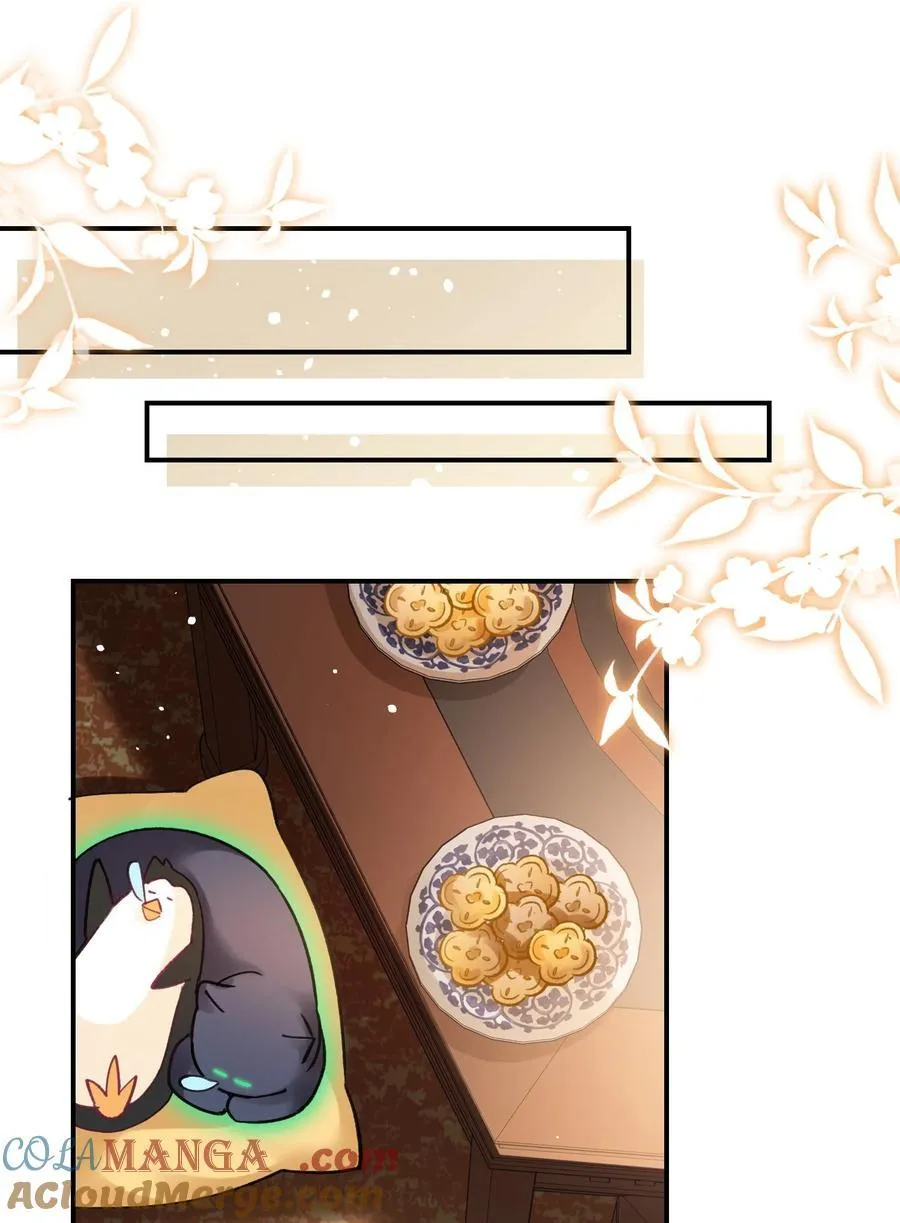 135 这算表白？42