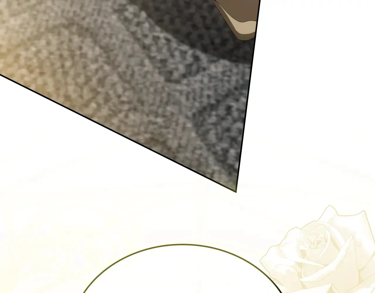 第146话 大展拳脚249