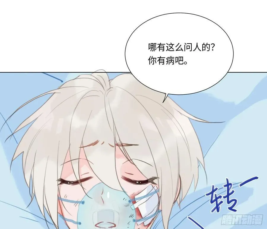 预言弥散·0959