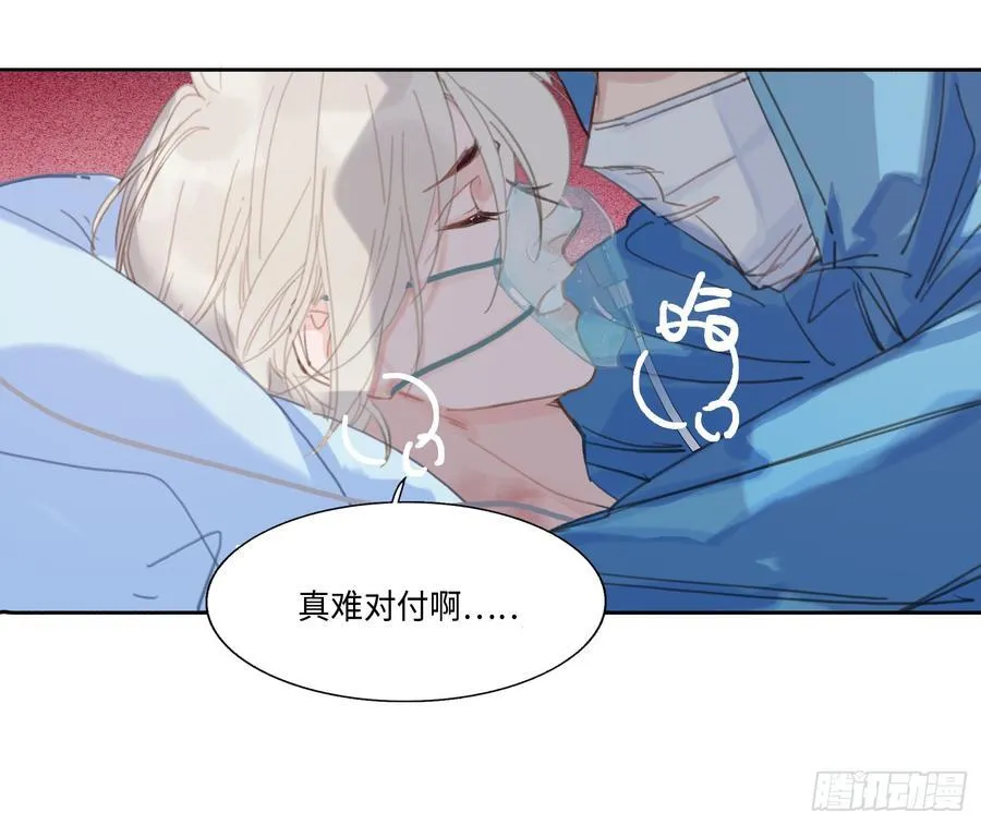 预言弥散·1074