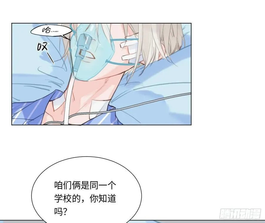 预言弥散·0965