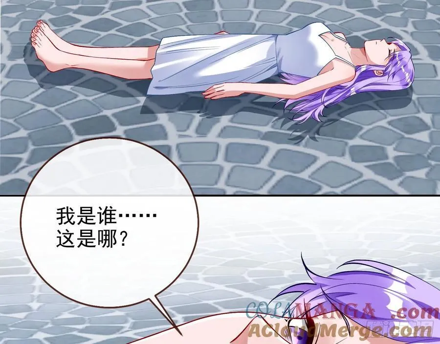 珮菈珮菈珮菈3