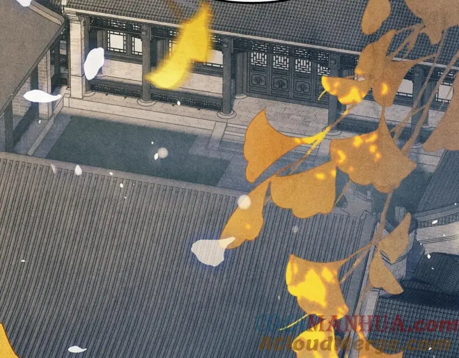 第188话 分家104