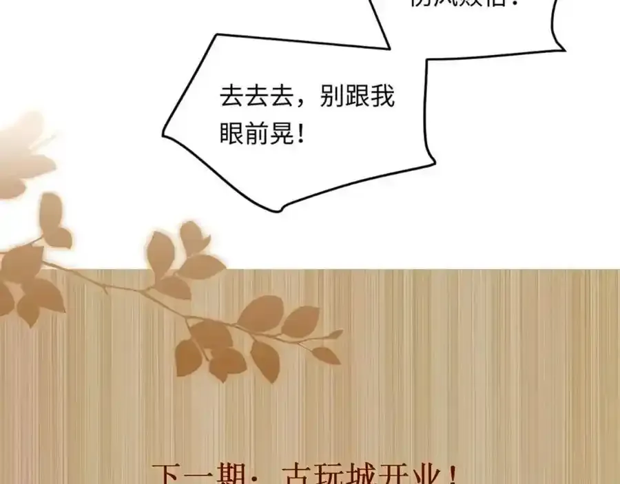 第196话 古玩城的老板姓丁80